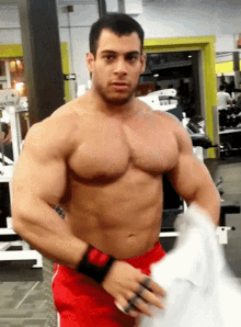 Bpdybuilder Bodybuilding GIF - Bpdybuilder Bodybuilding Muscles GIFs