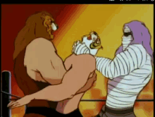 uomo tigre tiger mask fight