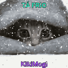 Kikimogi Frio GIF - Kikimogi Kiki Frio GIFs