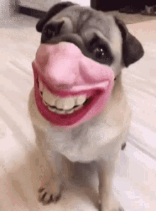 Pug Dog GIF - Pug Dog Funny Mask GIFs