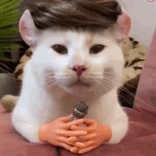 Cat Cat Microphone GIF - Cat Cat Microphone Hilarious Cat GIFs