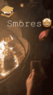 Smores Fire GIF - Smores Fire GIFs
