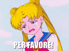 Per Favore Sailor Moon Anime Per Piacere Ti Pregno Dai Ti Scongiuro In Ginocchio GIF - Please Pretty Please I Beg You GIFs