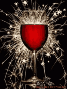 Drink Wine Day Happy Wine Day GIF - Drink Wine Day Drink Wine Day GIFs