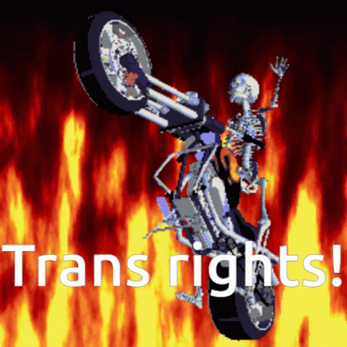 TRANS RGIGHTS MFER!!