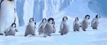 penguins happy