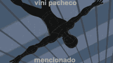 Vinipachecadas Vinipacheco GIF - Vinipachecadas Vinipacheco Pacheco GIFs
