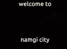Namgi Welcome To Namgi City GIF - Namgi Welcome To Namgi City City GIFs