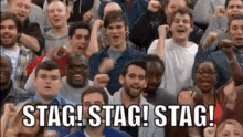 Stag GIF - Stag GIFs