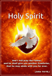 Holy Spirit GIF - Holy Spirit GIFs