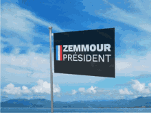 Zemmour President GIF - Zemmour President Drapeau GIFs