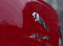 Jaguar Ipace Jaguar Cars GIF - Jaguar Ipace Jaguar Cars Electric Cars GIFs
