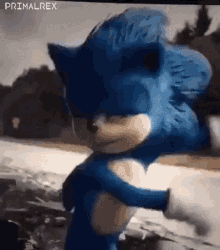 Sonic The Hedgehog GIF - Sonic The Hedgehog Sonic Movie GIFs