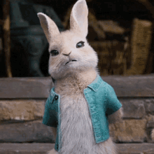 Nope Cottontail GIF - Nope Cottontail Peter Rabbit2the Runaway GIFs