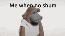 Shum Monkey Shummer GIF - Shum Monkey Shum Shummer GIFs