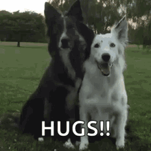 Dog Hugs GIF - Dog Hugs Bff GIFs