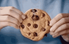 Chocolate Chip Cookies Cookie Day GIF - Chocolate Chip Cookies Cookies Cookie Day GIFs