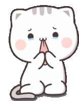 Cutie Cat Sticker - Cutie Cat Chan Stickers