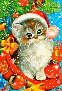 santa cat santa kitty santas helper santas gift merry christmas