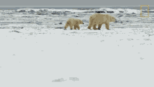 All Alone Destination Wild GIF - All Alone Destination Wild By Ourselves GIFs