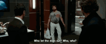 the hangover comedy zach galifianakis funny who let the dogs out