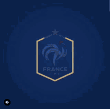équipe De France Logo GIF - équipe De France Logo équipe De France Logo GIFs