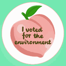 I Voted For The Environment Earth GIF - I Voted For The Environment Environment Earth GIFs