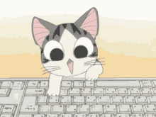 Test Cat Typing GIF - Test Cat Typing Typing GIFs