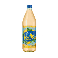 levit%C3%A9 frescura pomelo juice pomelo juice