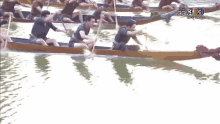 dragon boat race paddle rowing %E0%B9%81%E0%B8%88%E0%B8%A7