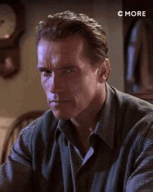 You Know It Arnold Schwarzenegger GIF - You Know It Arnold Schwarzenegger Stare GIFs