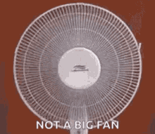 Electric Fan Wind GIF - Electric Fan Wind Not A Big Fan GIFs