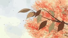 Fall Anime GIF - Fall Anime GIFs