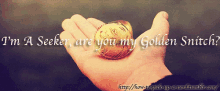 Are You My Golden Snitch GIF - Seeker Harry Potter GIFs