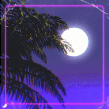 Night Chill GIF - Night Chill Palm Tree GIFs
