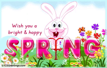 spring bright and hoppy bunny happy spring pogo stick