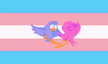 Trans Birds Transgender GIF - Trans Birds Transgender Birds GIFs