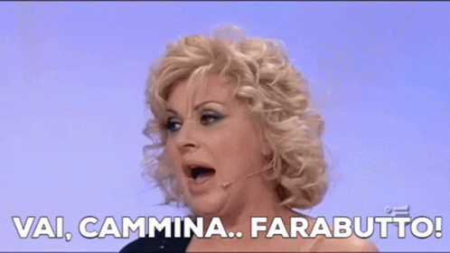 tina-cipollari-farabutto.gif