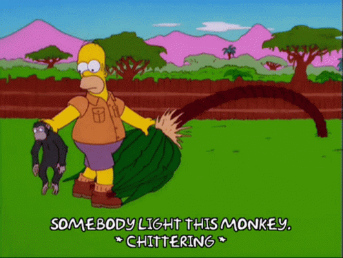 The Simpsons Homer GIF - The Simpsons Homer Light This Monkey GIFs.