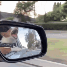 Dog Car GIF - Dog Car Side Mirror GIFs