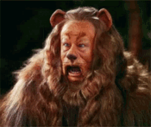 Cowardly Lion Wizard Of Oz GIF - Cowardly Lion Wizard Of Oz GIFs