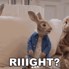 Riiight Peter Rabbit GIF - Riiight Peter Rabbit Peter Rabbit2the Runaway GIFs