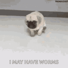 Itchy Tapeworms GIF - Itchy Tapeworms I May Have Worms GIFs