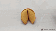 Fortune Cookie Idiot GIF - Fortune Cookie Idiot Shut Up GIFs