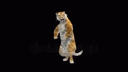 dancing-tiger.gif
