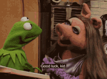 and kermit