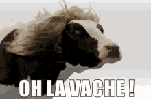 Oh La Vache ! GIF - La Vache GIFs
