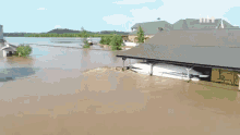 Flood This Is Happening GIF - Flood This Is Happening Disaster GIFs