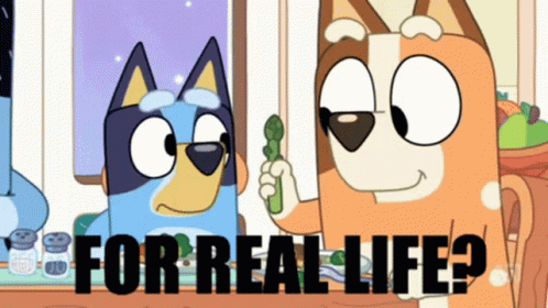 for-real-life-bluey.gif