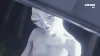 funny GIF